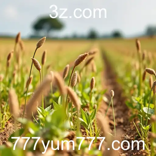 Tendências Digitais e a Revolução nos Conteúdos Online